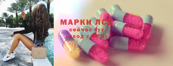 ГАЛЛЮЦИНОГЕННЫЕ ГРИБЫ Баксан