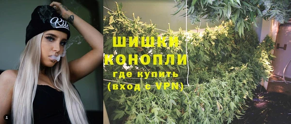 ГАЛЛЮЦИНОГЕННЫЕ ГРИБЫ Баксан
