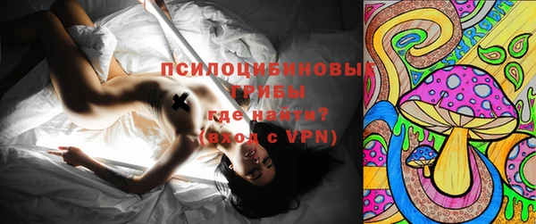 ГАЛЛЮЦИНОГЕННЫЕ ГРИБЫ Баксан