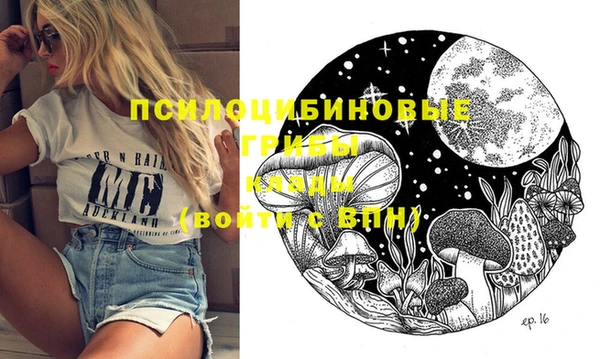 ГАЛЛЮЦИНОГЕННЫЕ ГРИБЫ Баксан